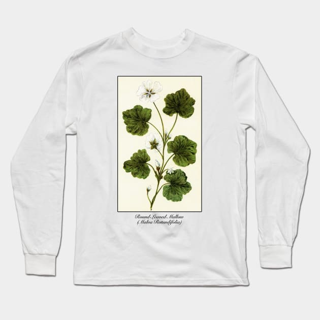 Round-Leaved Mallow Flower (Malva Rotundifolia) / Vintage Illustration Long Sleeve T-Shirt by CultOfRomance